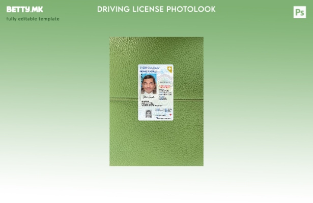 Модерен стил САД Невада под возачка дозвола photolook пред шаблон